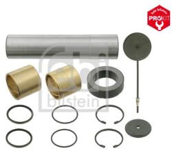Febi Bilstein Set reparatie, pivot FEBI BILSTEIN 06015 (06015)