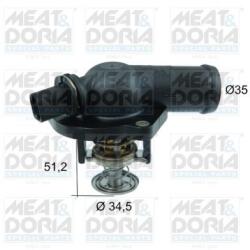 Meat & Doria Termostat, lichid racire MEAT & DORIA 92730 (92730)
