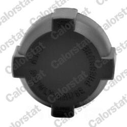 CALORSTAT by Vernet Buson, vas expansiune CALORSTAT by Vernet RC0001 (RC0001)