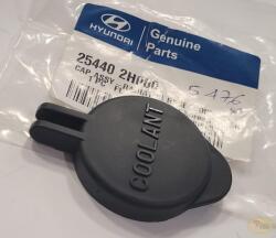 Original Hyundai / Kia Buson, vas expansiune ORIGINAL HYUNDAI / KIA 254402H000 (254402H000)