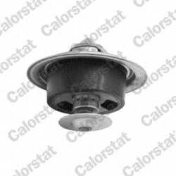CALORSTAT by Vernet Termostat, lichid racire CALORSTAT by Vernet TBS1001.82 (TBS1001.82)