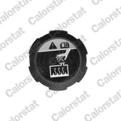 CALORSTAT by Vernet Buson, vas expansiune CALORSTAT by Vernet RC0200 (RC0200)