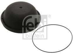 Febi Bilstein capac de protectie, butuc roata FEBI BILSTEIN 46134 (46134)