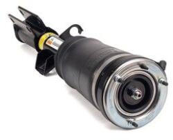 Arnott Brat arc pneumatic Arnott AS-2764 (AS-2764)
