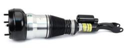 Arnott Brat arc pneumatic Arnott AS-3466 (AS-3466)