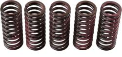 TRW Set arc ambreiaj TRW MEF312-5 (MEF312-5) - fixbox