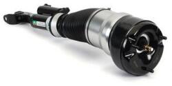 Arnott Brat arc pneumatic Arnott AS-3161 (AS-3161)