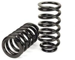 Arnott Set suspensie, arcuri elicoidale Arnott C-3080 (C-3080) - fixbox