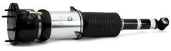 Arnott Brat arc pneumatic Arnott AS-3121 (AS-3121)