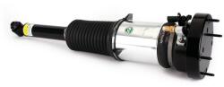 Arnott Brat arc pneumatic Arnott ASE-3819 (ASE-3819)