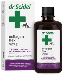 Dr. Seidel Collagen Flex sirop articulații câini și pisici 250 ml