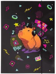 COOLPACK Dosar cu elastic Cool Pack - A4, Capybara Music (05063CP)