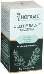 Hofigal Ulei de salvie macerat, 60 capsule moi, Hofigal