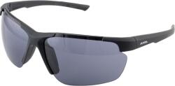 Alpina Ochelari ALPINA DEFEY HR, black matt/black ()
