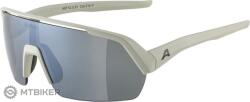Alpina Ochelari ALPINA TURBO HR, cool grey mat