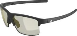 Alpina Ochelari ALPINA EAGLE Q-LITE, black matt/yellow ()