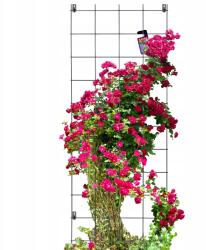 Kadax Kerti Pergola Fém Növénytámasz Rózsa Virág Rács 65x170cm (K3691)