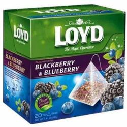 LOYD Piramis tea szeder-áfonya 20 filter (40g)