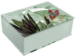 Clairefontaine Tárolódoboz Clairefontaine Jungle Harmony 35, 5x26x13 cm karton, vegyes (115781C)