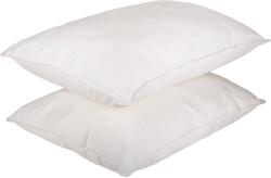 Somnart Set 2 perne SomnArt Naturo din pene, 50x70 cm, husa bumbac (3205)