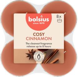 Bolsius Teamécses Maxi 8Db True Scents Apple Cinnamon