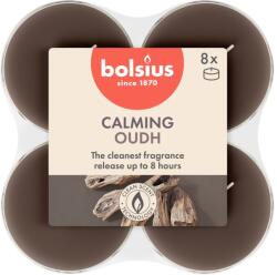 Bolsius Teamécses Maxi 8Db True Scents Oud Wood