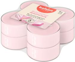 Bolsius Teamécses Maxi 8Db True Scents Magnolia