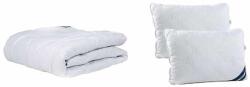 Somnart Set pilota de iarna SomnArt 200x220 cm cu 2 perne 50x70 cm, bumbac (2917)