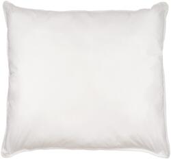 Somnart Perna SomnArt Naturo din pene, 70x70 cm, moale, bumbac 100% (696)