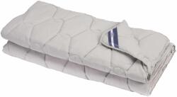 Somnart Set pilota si perna bumbac Somnart Bella gri 150x200 cm, 50x70 cm (2734)