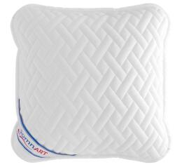 Somnart Perna Somnart 70x70 cm hipoalergenica, lavabila, cu bilute Superball (1674)