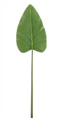Bizzotto Set 3 frunze Cala artificiala 115 cm (0170731X)