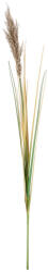 Bizzotto Set 5 flori Pampas artificial 12.7x110 cm (0173027X)