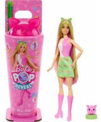 Mattel Barbie Pop Reveal doll from the series: Shake + cat and accessories ZA6061