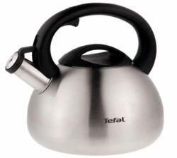 Tefal teáskanna/vízforraló rozsdamentes acélból 2, 5 L (N4180217)