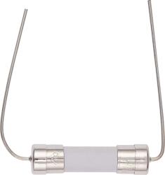 Sony Ceramic Slow-Blow Fuse (T8A / H / 250V)