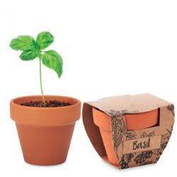  Kit Gradinarit, Ghiveci de Teracota cu Seminte de Busuioc, 5x6x5.5 cm