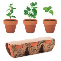  Kit Gradinarit, 3 Ghivece de Teracota cu Seminte de Menta, Patrunjel, Busuioc, 6x19x5 cm