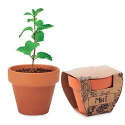  Kit Gradinarit, Ghiveci de Teracota cu Seminte de Menta, , 5x6x5.5 cm