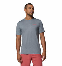 Columbia Parsons Point SS Back Graphic Tee férfi póló XL / szürke