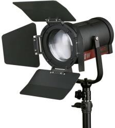SWIT Electronics Lampa LED portabila Swit FL-C60D - cu spot bi-color de 60W