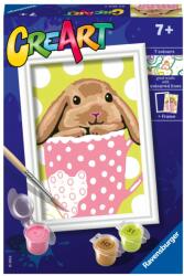 Ravensburger - CreArt pictura pe numere pentru copii iepuras in cana - RVSPBN20206 (RVSPBN20206)