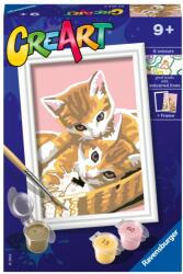 Ravensburger - CreArt pictura pe numere pentru copii pisicute dragalase - RVSPBN20205 (RVSPBN20205)