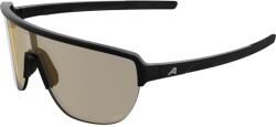 Alpina Ochelari ALPINA RAM 2.0 Q-LITE, black matt/yellow ()