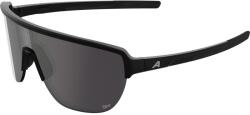 Alpina Ochelari ALPINA RAM 2.0 Q-LITE, black matt/mirror silver ()