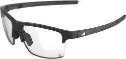 Alpina Ochelari ALPINA EAGLE V, black matt/varioflex black ()