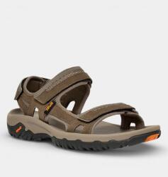 Teva Hudson D
