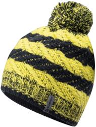 Iguana Férfi meleg téli bélelt polár Sapka (92800378963)