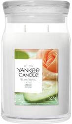 Yankee Candle Blooming Love Signature Nagy 567 g