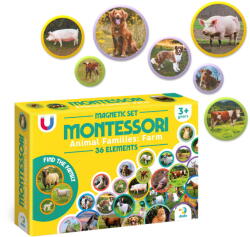 Dodo Set magneti Montessori cu animale de la ferma, 36 piese, Dodo (DO200271)